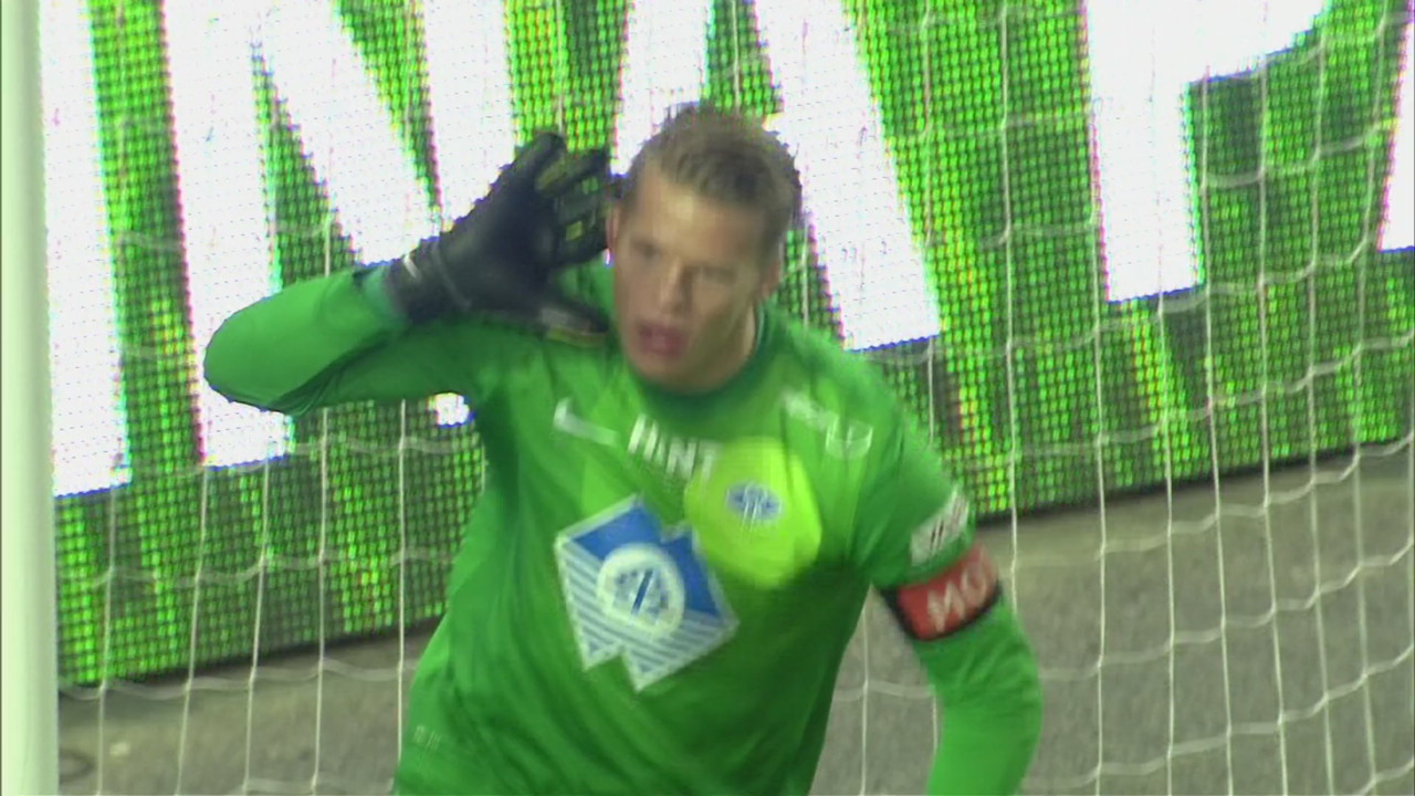 seriegullgull_9a7fee.mp4